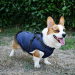 Dog Coat Padded Soft Lining Integrated Harness