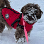 Dog Coat Quilted Padded Warmth Integrated Harness & Soft Lining