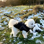 Dog Coat Quilted Padded Warmth Integrated Harness & Soft Lining