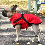 Dog Coat Water-Resistant Integrated Harness Reflective Details