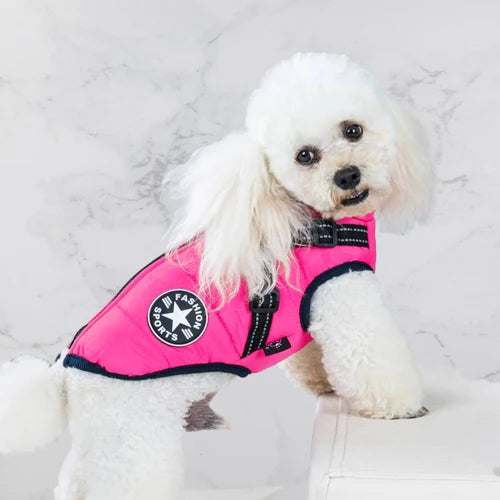 Dog Coat Water-Resistant Integrated Harness Reflective Details