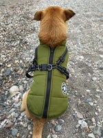 Dog Coat Water-Resistant Integrated Harness Reflective Details