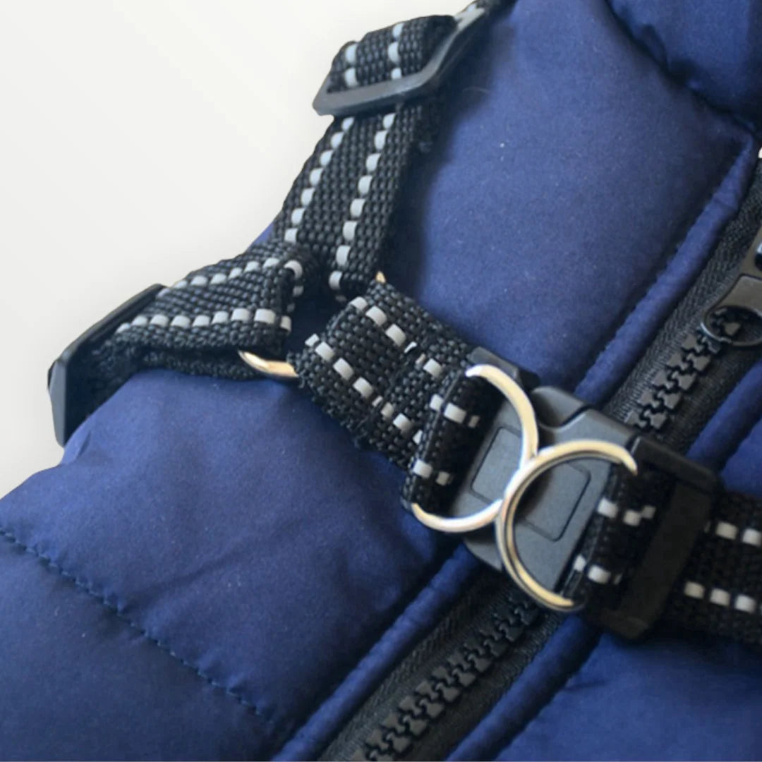 Dog Coat Water-Resistant Integrated Harness Reflective Details