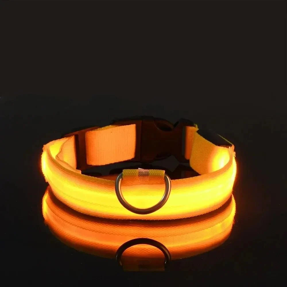 Dog Collar 360° LED Reflective Adjustable Nylon