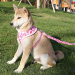 Dog Collar Adjustable Cotton Fit