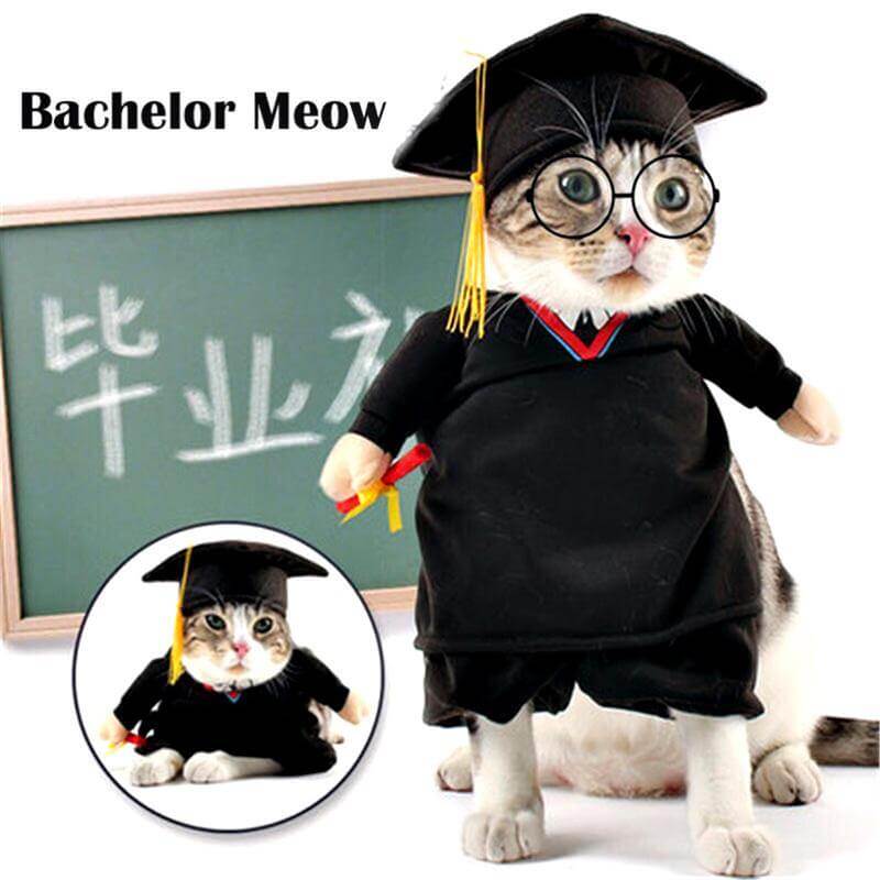 Dog Costume Professor-Themed Breathable Cotton Blend