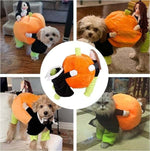 Dog Costume Pumpkin Design Velvet Secure Fit