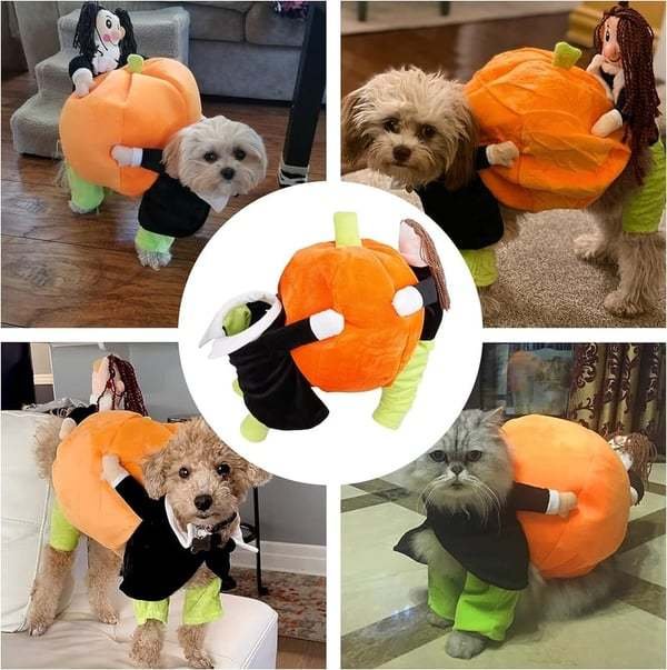 Dog Costume Pumpkin Design Velvet Secure Fit