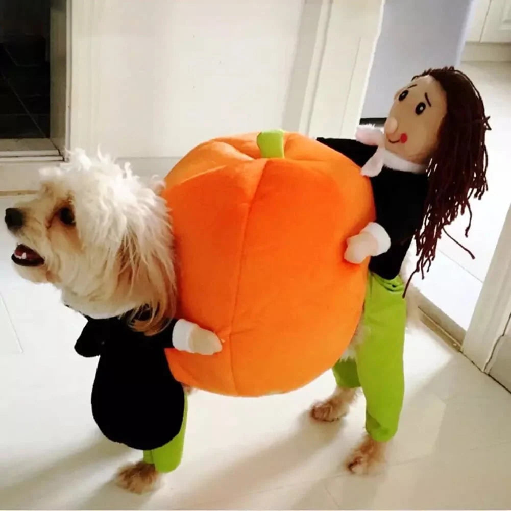 Dog Costume Pumpkin Design Velvet Secure Fit
