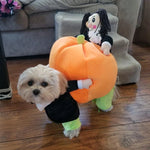 Dog Costume Pumpkin Design Velvet Secure Fit