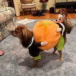 Dog Costume Pumpkin Design Velvet Secure Fit
