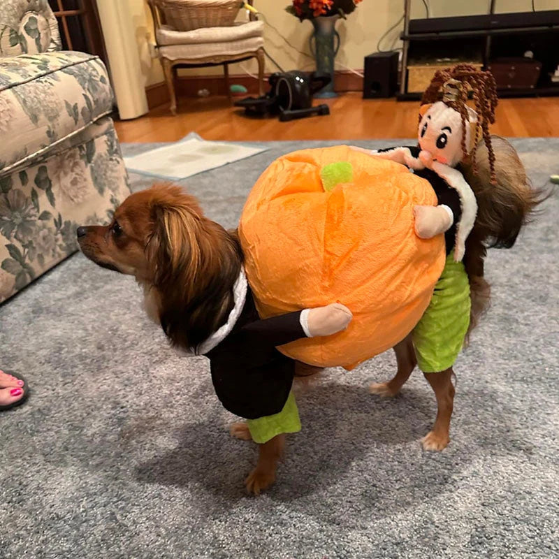 Dog Costume Pumpkin Design Velvet Secure Fit