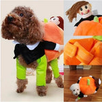 Dog Costume Pumpkin Design Velvet Secure Fit