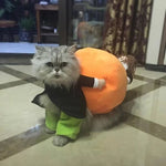Dog Costume Pumpkin Design Velvet Secure Fit