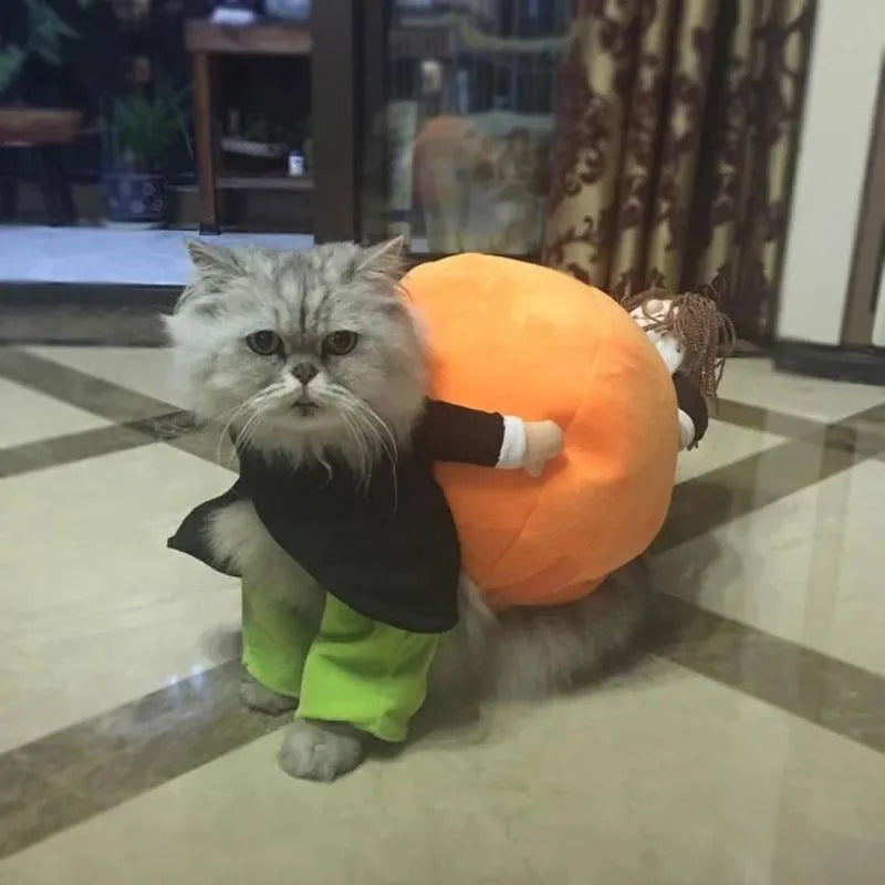 Dog Costume Pumpkin Design Velvet Secure Fit