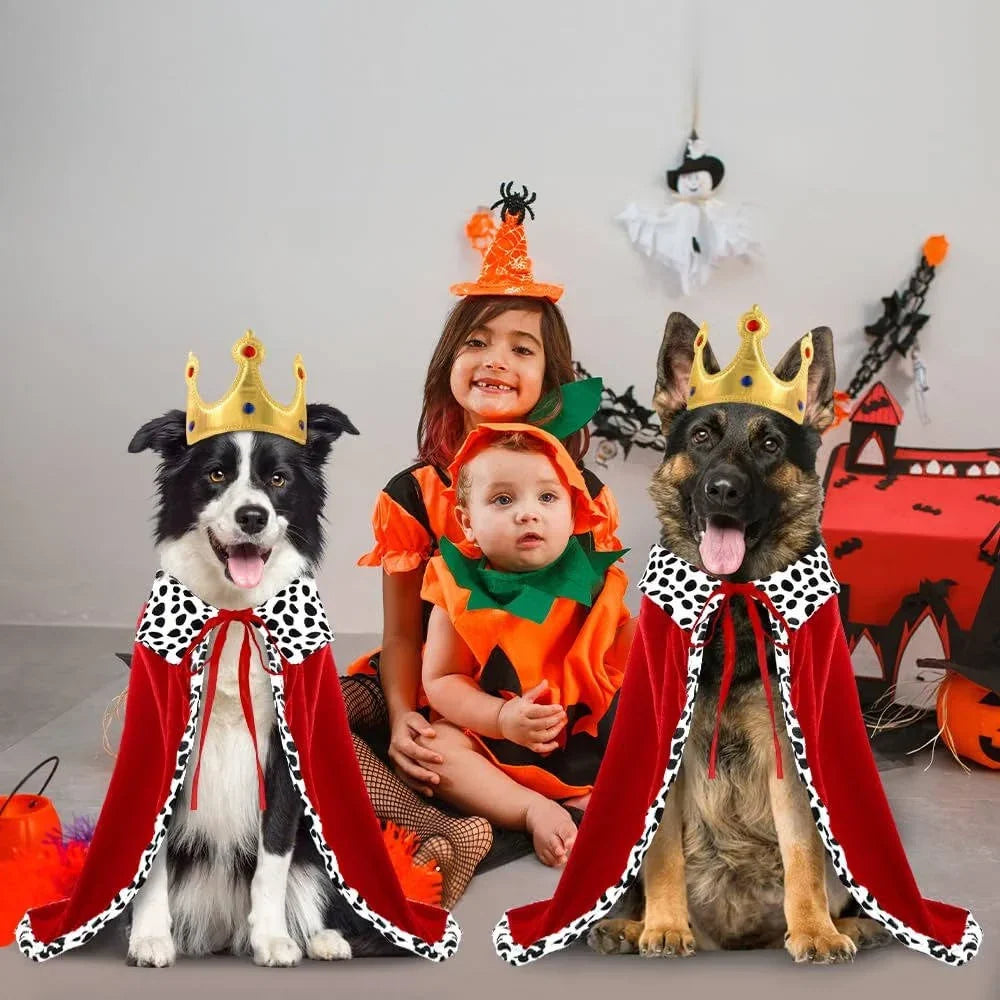 Dog Costume Royal Cape & Crown Adjustable Fit