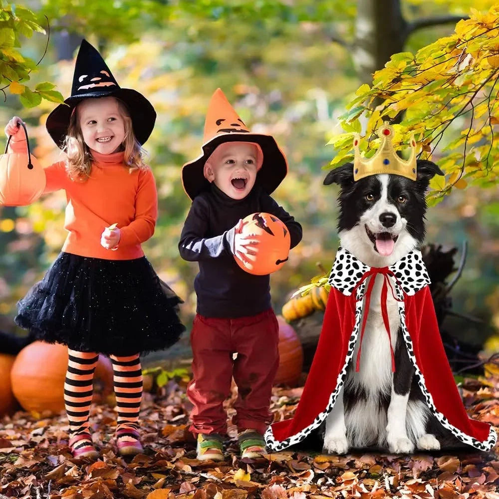 Dog Costume Royal Cape & Crown Adjustable Fit
