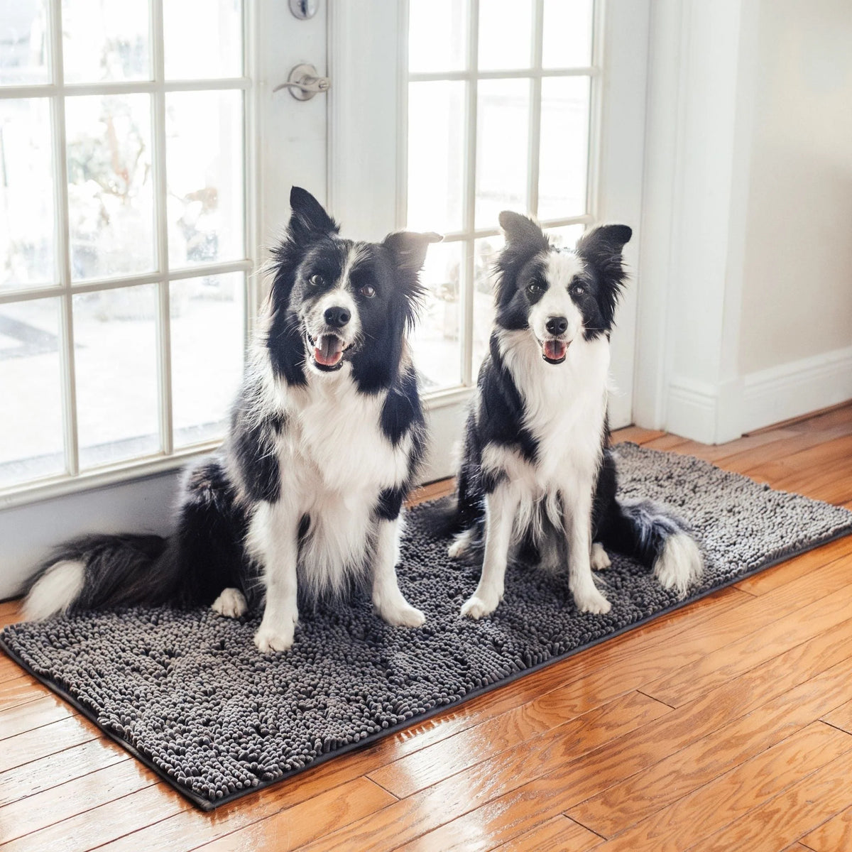 Dog Door Mat Absorbent Non-Slip for Muddy Paws