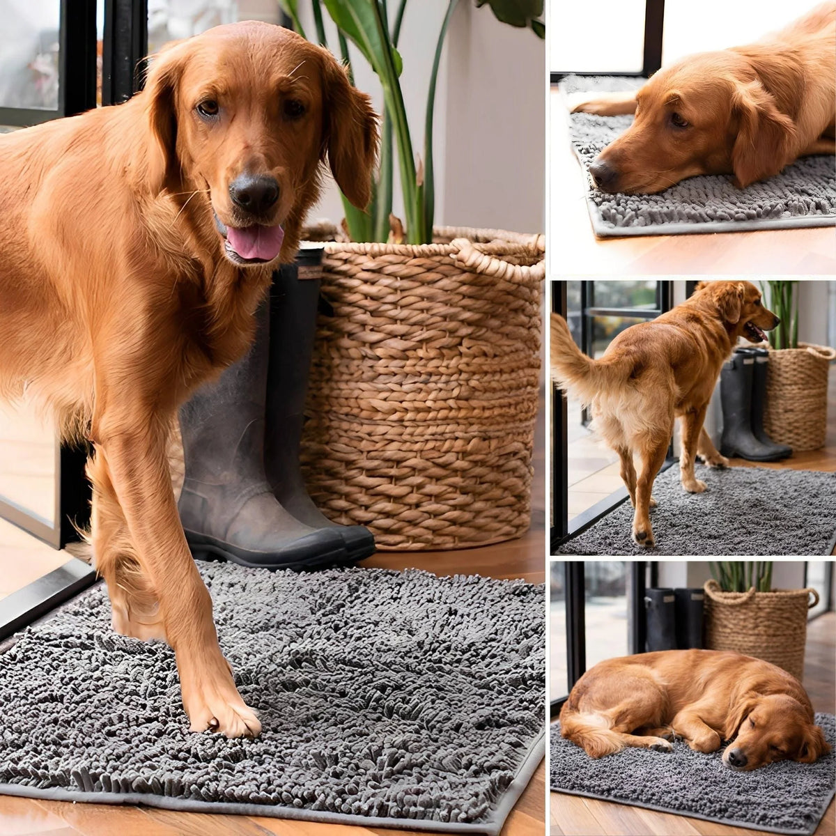 Dog Door Mat Absorbent Non-Slip for Muddy Paws