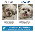 Dog Eye Support Drops Daily Food Supplement