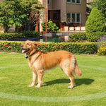 Dog Fence Wireless Adjustable Radius Gradual Training Mode