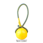 Dog Frisbee Floating High Flying Soft & Flexible