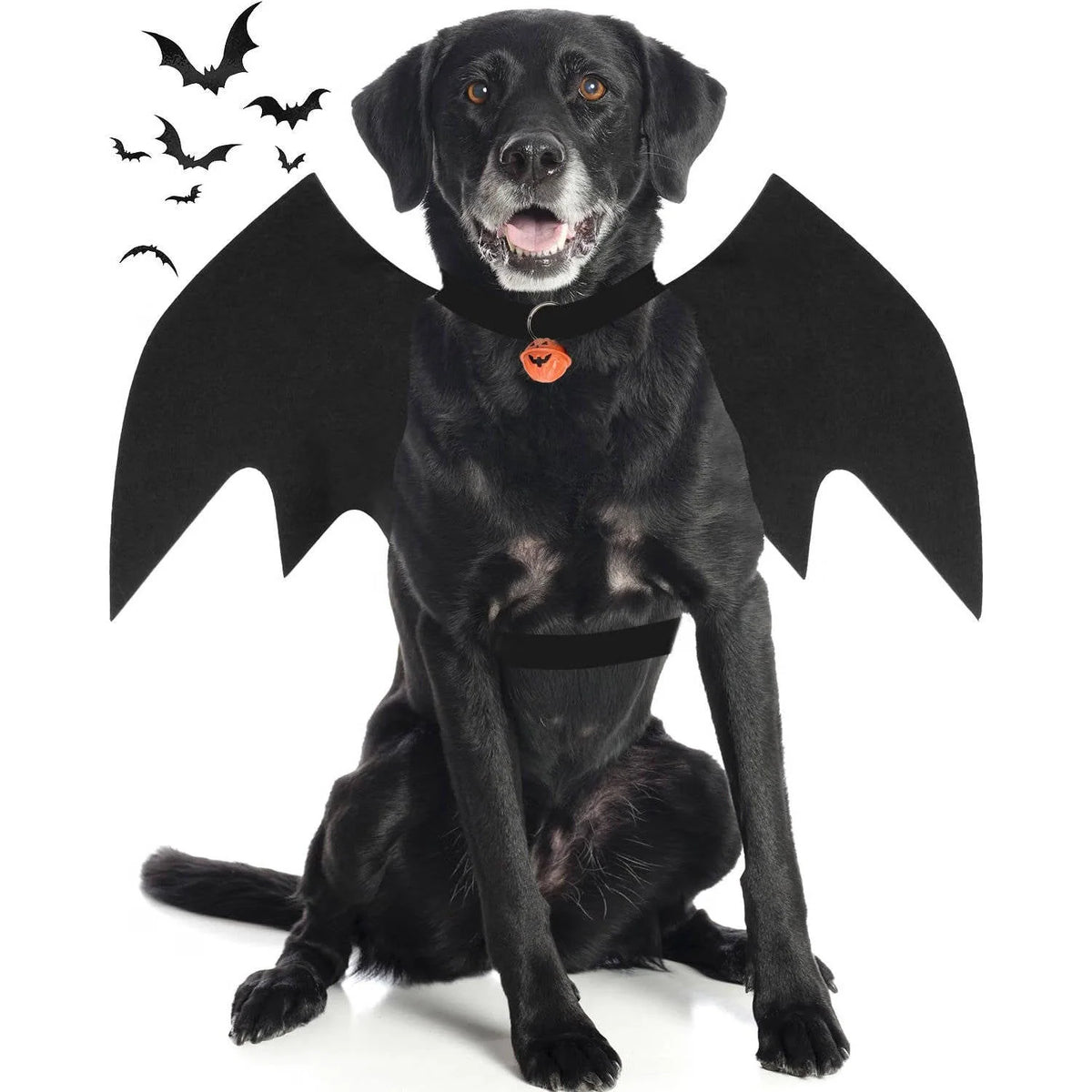 Dog Halloween Costume Felt Bat Wings Adjustable Fit Pumpkin Bell