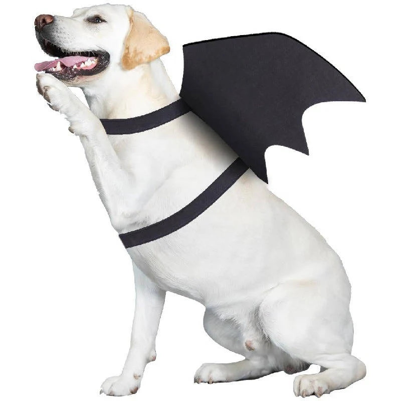 Dog Halloween Costume Felt Bat Wings Adjustable Fit Pumpkin Bell