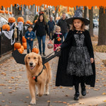 Dog Halloween Costume Felt Bat Wings Adjustable Fit Pumpkin Bell