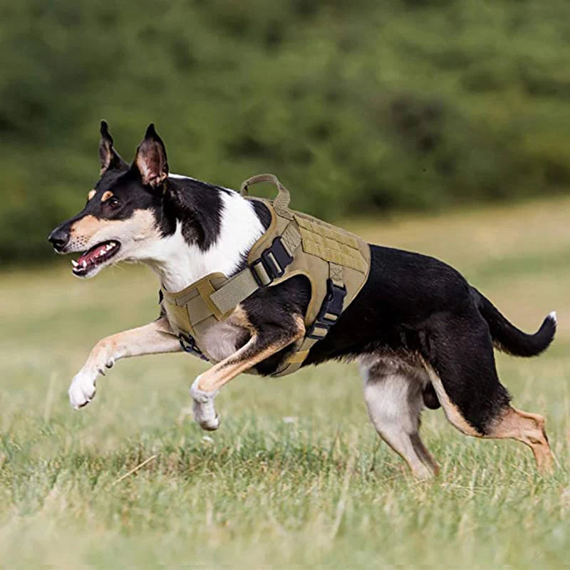 Dog Harness 1050D Nylon MOLLE Reinforced Handle
