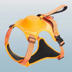 Dog Harness & Leash Adjustable No-Pull Nylon