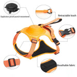 Dog Harness & Leash Adjustable No-Pull Nylon