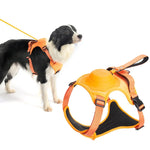 Dog Harness & Leash Adjustable No-Pull Nylon