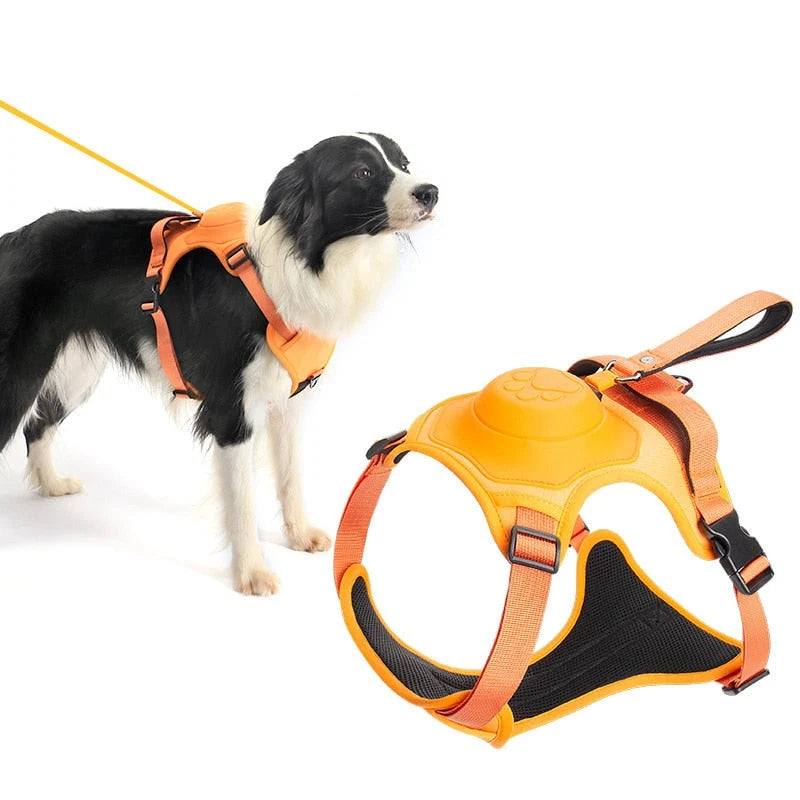 Dog Harness & Leash Adjustable No-Pull Nylon