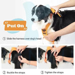 Dog Harness & Leash Adjustable No-Pull Nylon