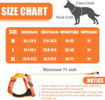 Dog Harness & Leash Adjustable No-Pull Nylon