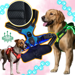 Dog Harness No-Pull LED Lights USB-C Rechargeable