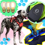 Dog Harness No-Pull LED Lights USB-C Rechargeable