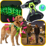 Dog Harness No-Pull LED Lights USB-C Rechargeable