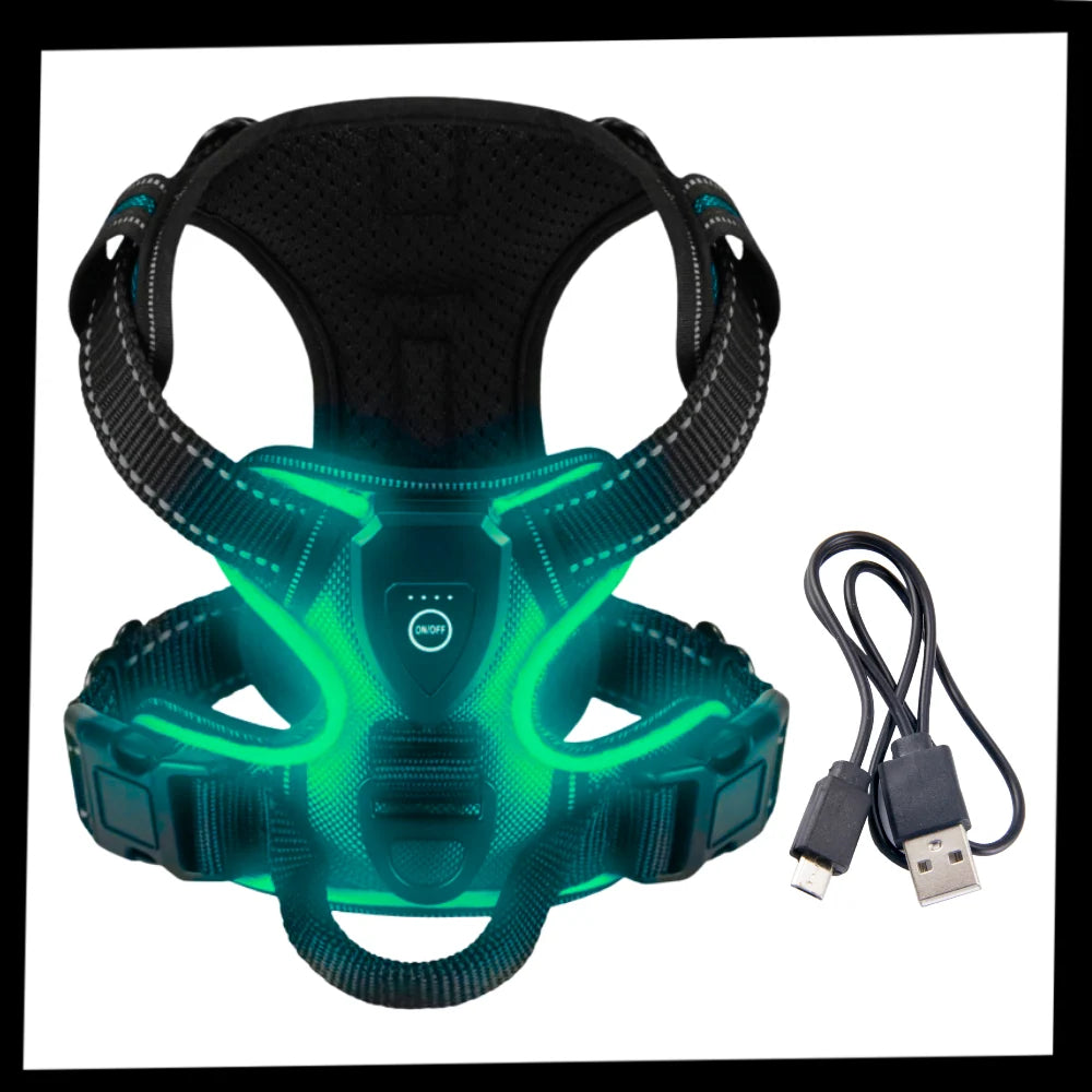 Dog Harness No-Pull LED Lights USB-C Rechargeable