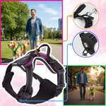 Dog Harness No-Pull LED Lights USB-C Rechargeable