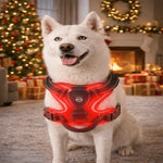 Dog Harness Rechargeable LED Lights Adjustable Padded Fit