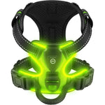 Dog Harness Rechargeable LED Lights Adjustable Padded Fit