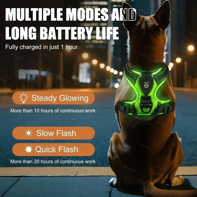 Dog Harness Rechargeable LED Lights Adjustable Padded Fit