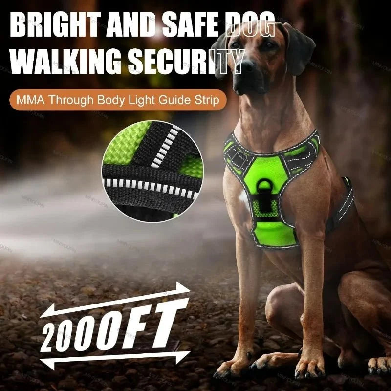 Dog Harness Rechargeable LED Lights Adjustable Padded Fit