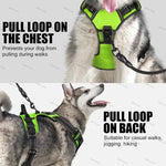Dog Harness Rechargeable LED Lights Adjustable Padded Fit