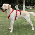 Dog Harness Reflective Escape-Proof Adjustable No-Pull Fit