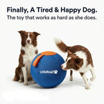 Dog Herding Ball Puncture-Resistant Pump Included