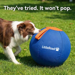 Dog Herding Ball Puncture-Resistant Pump Included