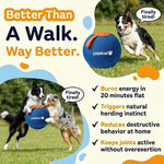 Dog Herding Ball Puncture-Resistant Pump Included